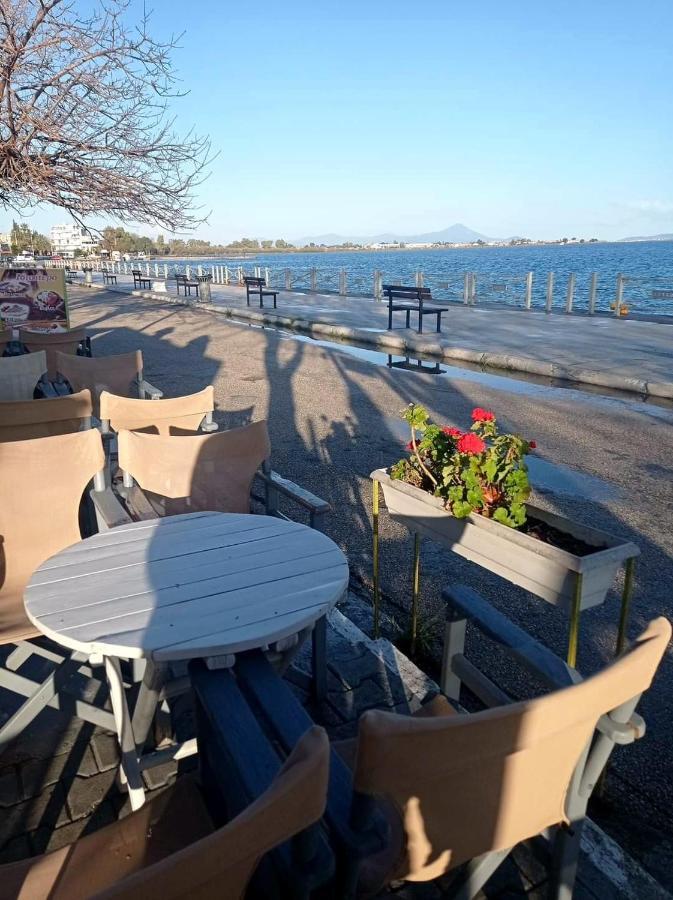 Bright Apartment In Nea Palatia • Oropos Exterior foto